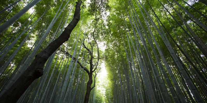 深入理解自然语言处理：底层机制一探究竟